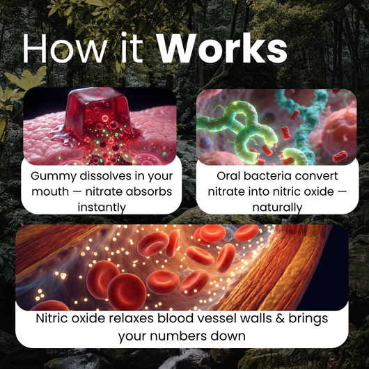 Naturevitals BeetFlow